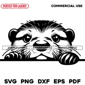 Peeking Otter Design | svg png dxf eps pdf | vector graphic cut file laser clip art | instant digital download commercial use