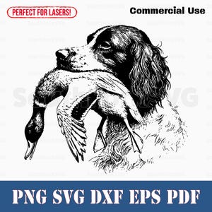Retrato de perro de caza de patos Boykin Spaniel svg png dxf eps pdf / archivo de corte vectorial clip art láser descarga instantánea uso comercial
