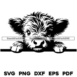 Jetant un coup d'oeil une petite vache des Highlands | svg png dxf eps pdf | Fichiers vectoriels transparents, impression découpée, impression laser, gravure laser, utilisation commerciale