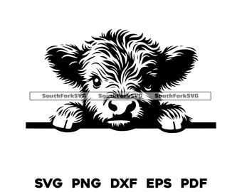 Peeking Baby Highland Cow | svg png dxf eps pdf | transparent vector graphic design cut print dye sub laser engrave files commercial use