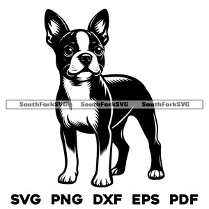 Boston Terrier Dog Standing Design | svg png dxf eps pdf | vector graphic cut file laser clip art | instant digital download commercial use