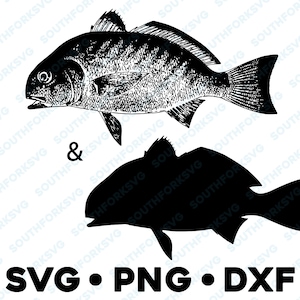 Könnte beinhalten: Schwarz-weiß-Linienzeichnung einer Fischillustration. Der Fisch ist nach links gerichtet und hat ein detailliertes Design. Das Bild enthält auch den Text "SVG • PNG • DXF".