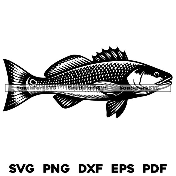 Redfish Red Drum Design | svg png dxf eps pdf | transparent vector graphic design cut print dye sub laser engrave files commercial use