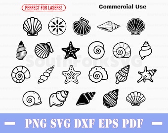 Einfache Muscheln SVG Bundle svg png dxf eps pdf | kommerzielle Nutzung