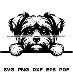 Spähender Yorkshire Terrier Hundekopf Design svg png dxf eps pdf Vektorgrafik Schnittdatei Laser Clip Art Sofortiger digitaler Download Kommerzielle Nutzung