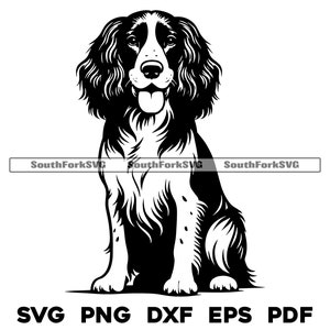 Ontwerp springerspaniël hondenoppas | svg png dxf eps pdf | vectorafbeelding snijbestand laserclipart | direct digitaal downloaden voor commercieel gebruik