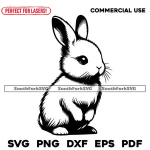 Schattige baby konijntje svg png dxf eps pdf | transparant vector grafisch ontwerp gesneden print kleurstof sub laser graveerbestanden commercieel gebruik