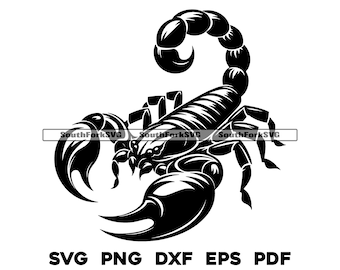 Scorpio Scorpion Design | svg png dxf pdf eps | vector graphic design cut print dye sub laser engrave digital files commercial use