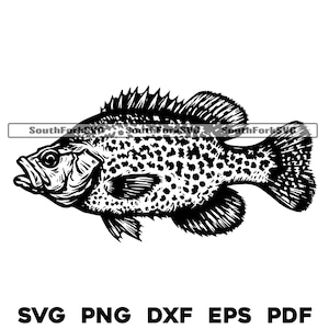 Crappie Fish Design Files | svg png dxf eps pdf | transparent vector graphic design cut print dye sub laser cnc files commercial use