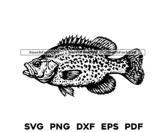 Crappie Fish Design Files | svg png dxf eps pdf | transparent vector graphic design cut print dye sub laser cnc files commercial use