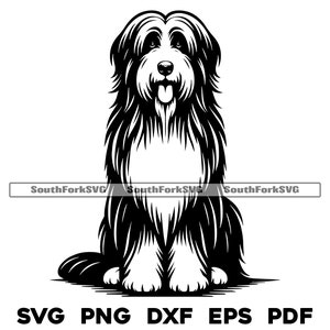 Bearded Collie Hund Sitzend Design 2 | svg png dxf eps pdf | Vektorgrafik Datei Laser Clip Art schneiden | sofortiger digitaler Download kommerzielle Nutzung