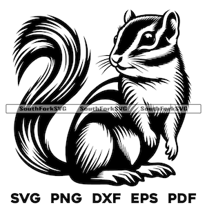 May include: Black and white line art illustration of a squirrel sitting with its tail curled behind it.