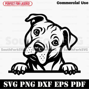 Peeking Pitbull Dog svg png dxf eps pdf | vector graphic cut file laser clip art instant digital download commercial use