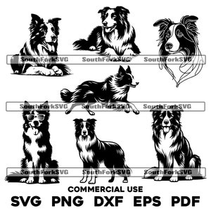 Border Collie Bundle 1 svg png dxf eps pdf | vector graphic cut file laser clip art | instant digital download commercial use