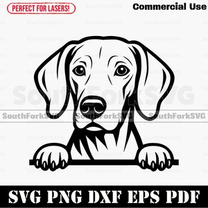 Puede incluir: Gráfico en blanco y negro de un perro. El perro mira hacia adelante, con las patas sobre una línea. Incluye el texto "SVG PNG DXF EPS PDF" y "Commercial Use".