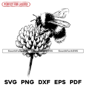 Hommel klaver bloem lasergraveerbestanden | svg png dxf eps pdf | transparant vector grafisch ontwerp gesneden print kleurstof sub commercieel gebruik