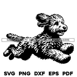 Goldendoodle Hund Laufendes Design | svg png dxf eps pdf | Vektorgrafik Datei Laser Clip Art schneiden | sofort download für kommerzielle Nutzung