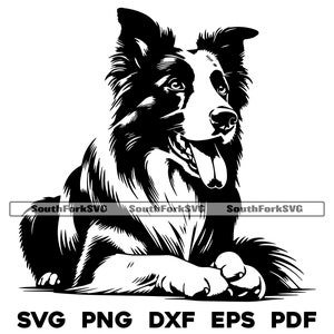 Border Collie Hund Liegend Design 2 | svg png dxf eps pdf | Vektorgrafik Datei Laser Clip Art schneiden | sofortiger digitaler Download kommerzielle Nutzung