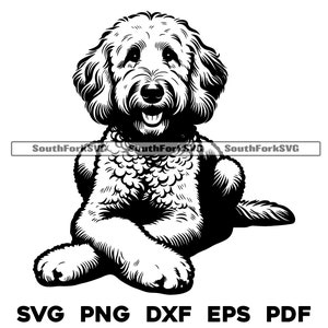 Labradoodle-hond legt gekruiste poten | svg png dxf eps pdf | vectorafbeelding snijbestand laserclipart | direct digitaal downloaden voor commercieel gebruik