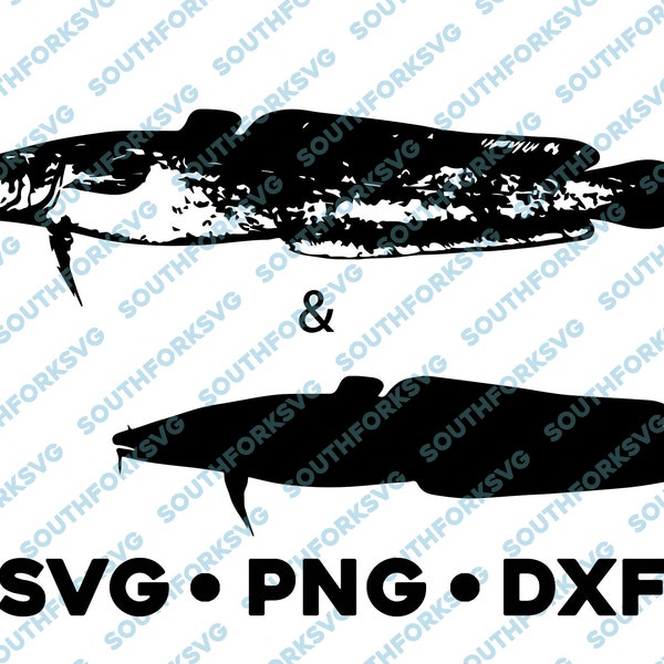 Burbot Fish SVG PNG DXF Cod Cusk Coneyfish vector transparent  cameo silhouette cut file vinyl decal fish fishing outdoors animal