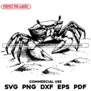 May include: Black and white line art illustration of a crab on a sandy beach. The crab is facing the right side of the image and has its claws raised.