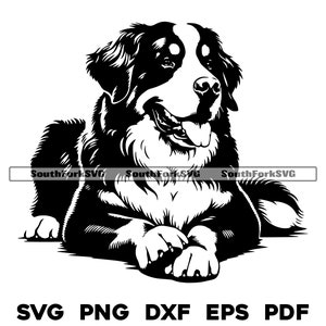 Berner Sennenhond leggen gekruiste poten svg png dxf eps pdf vectorafbeelding gesneden bestand laser clip art instant digitale download commercieel gebruik