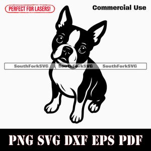Boston Terriër bedelen svg png dxf eps pdf | vectorafbeelding stencil gesneden bestand laser clip art print digitale download commercieel gebruik