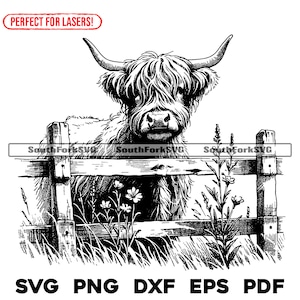 Hooglandkoe gluren hek lasergraveren bestanden svg png dxf eps pdf | vector grafisch ontwerp knippen print kleurstof sub cnc digitaal bestand commercieel gebruik