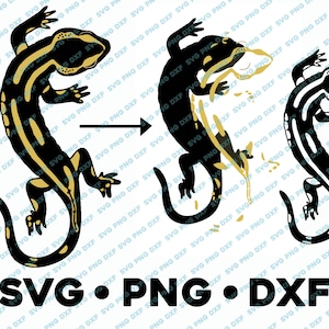 Salamander SVG PNG DXF Überlagert nach Farbschnitt-Datei Silhouette Cameo Eidechse Frosch Botanische Wissenschaft Design Schmetterling Natur Illustration