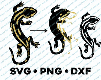 Salamander SVG PNG DXF Layered By Color Cut File  Silhouette Cameo Lizard Frog Botanical Science Design Butterfly Nature Illustration