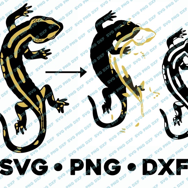 Salamander SVG PNG DXF Plotterdatei Silhouette Kamee Echse Frosch Botanische Wissenschaft Design Schmetterling Natur Illustration