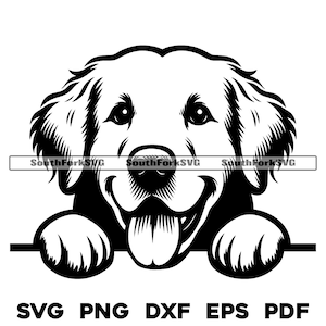 Peeking Golden Retriever Hundekopf Design svg png dxf eps pdf Vektorgrafik Schnittdatei Laser Clip Art Sofortiger digitaler Download Kommerzielle Nutzung