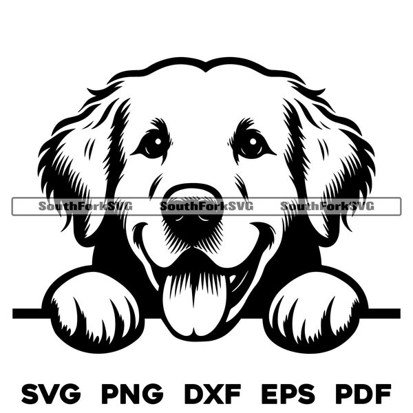 Peeking Golden Retriever Dog Head Design svg png dxf eps pdf vector graphic cut file laser clip art instant digital download commercial use