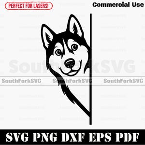 Peering Siberian Husky Dog svg png dxf eps pdf vector graphic cut file laser stencil clip art instant digital download commercial use