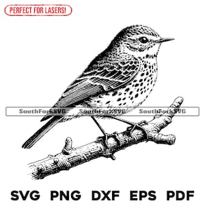 Pequenos arquivos de laser de pássaros canoros svg png dxf eps pdf | design gráfico vetorial corte impressão sublimação de tinta gravação a laser cnc arquivos digitais uso comercial