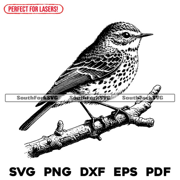Small Song Bird Laser Files svg png dxf eps pdf | vector graphic design cut print dye sub laser engrave cnc digital files commercial use