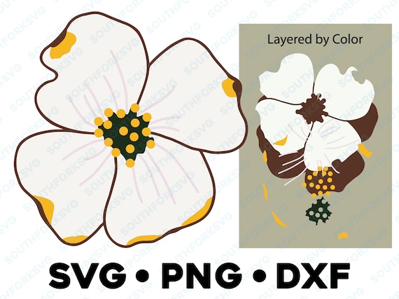 ハナミズキの花 SVG PNG DXF レイヤー別 カラーカットファイル