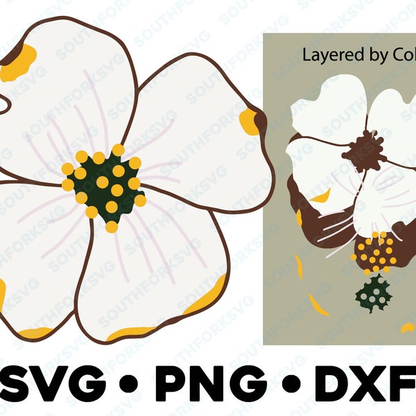 Dogwood Blossom SVG PNG DXF Layered by Color Cut File  Silhouette Cameo Floral Botanical Illustration Garden Plant Wildflower Flower