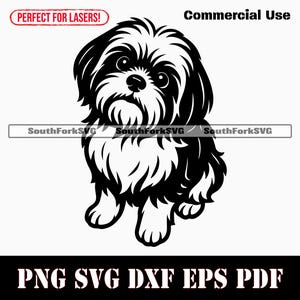 Shih Tzu Begging svg png dxf eps pdf / grafica vettoriale stencil file di taglio laser clip art stampa download digitale istantaneo uso commerciale