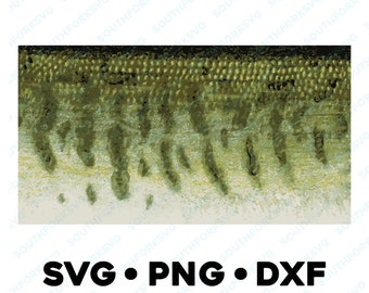 Musky Muskie muskellunge Skin Pattern SVG PNG DXF trout bass pike muskie crappie fly fishing design vector fishing hunting 1