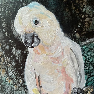 Original Cockatoo Portrait