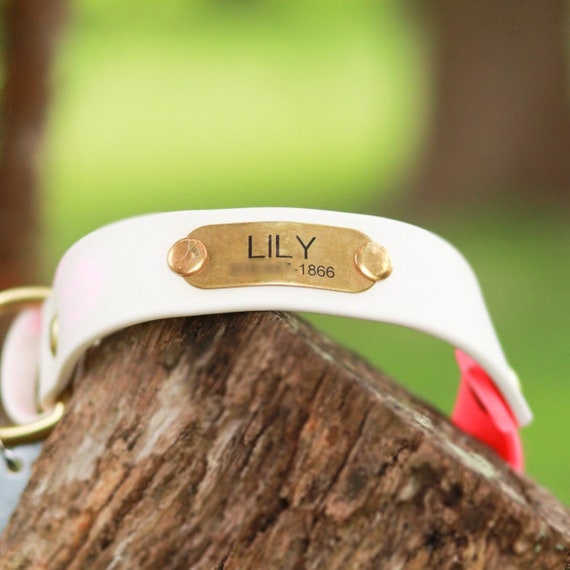 AddOn ID Tag Rivet Dog Tag On Collar Dog Tag Etsy