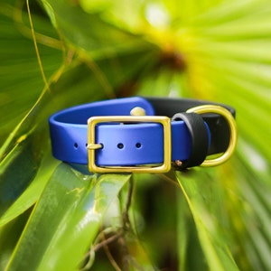 ROYAL 1” Buckle Collar | BioThane Dog Collar | Dog Collar | Custom Dog Collar | Leather Dog Collar | Waterproof Collar |