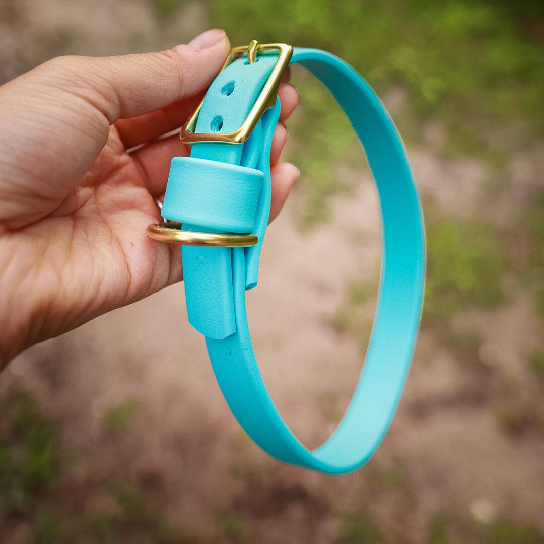 3/4 Custom Buckle Collar Biothane Dog Collar Dog Collar Custom Dog