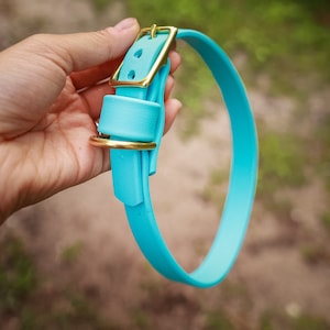 3/4&quot; Custom Buckle Collar | BioThane Dog Collar | Dog Collar | Custom Dog Collar | Leather Dog Collar | Waterproof Collar | Pet Collar