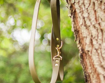 1"  BioThane Dog Leash: Durable Adventure Lead