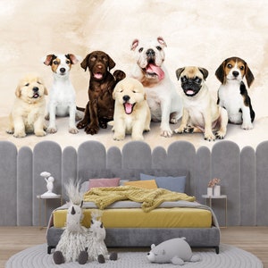 Exquisite Can You Bring Dogs In Lowes Moment in 4K Exquisite Can You Bring Dogs In Lowes Moment in 4K