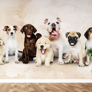 Captivating Can You Bring Dogs In Lowes Photo Digital Art Captivating Can You Bring Dogs In Lowes Photo Digital Art