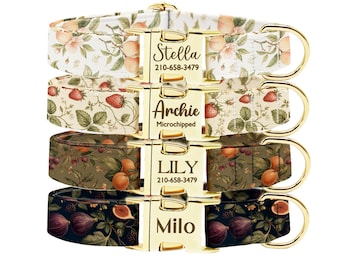 Collar personalizado para perro con diseño de fruta, collar botánico personalizado con hebilla dorada.