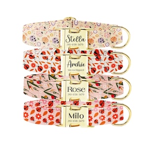 May include: Four personalised dog collars with floral and ladybug patterns. Each collar has a gold-coloured buckle with a name and phone number. The collars are in various colours, including pink, orange, and cream.